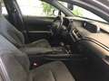 Lexus UX 200 UX 250h 2.0 Executive 2wd cvt ''PROMOZIONE'' Grigio - thumbnail 13