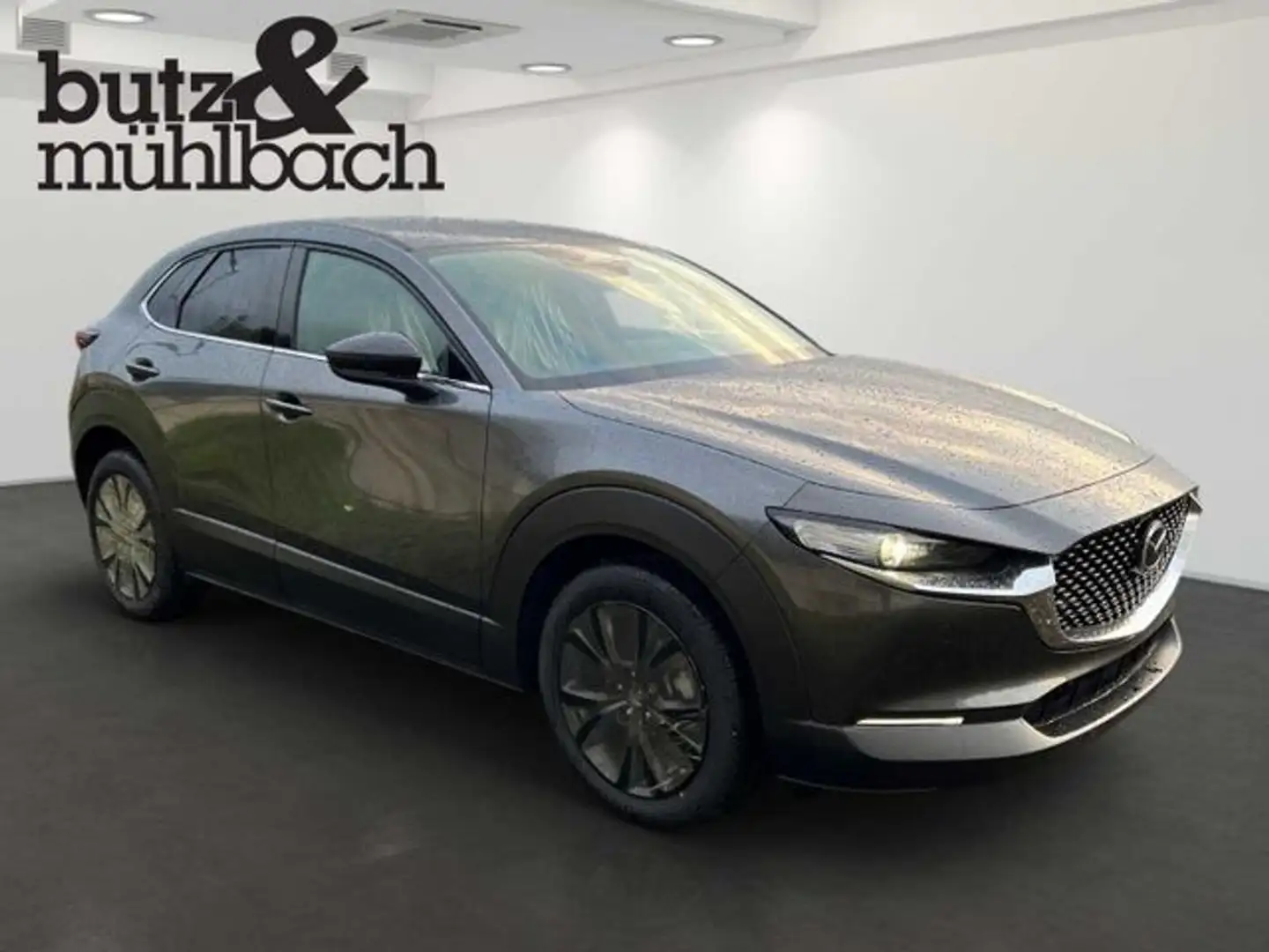 Mazda CX-30 e-SKYACTIVE X 186 Aut. HOMURA Grau - 2