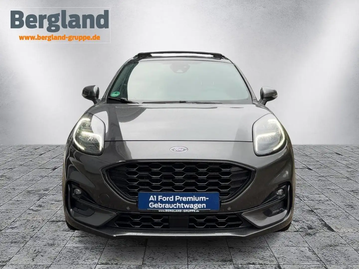 Ford Puma ST-Line X 1,0 l EcoBoost 155 PS Gris - 2