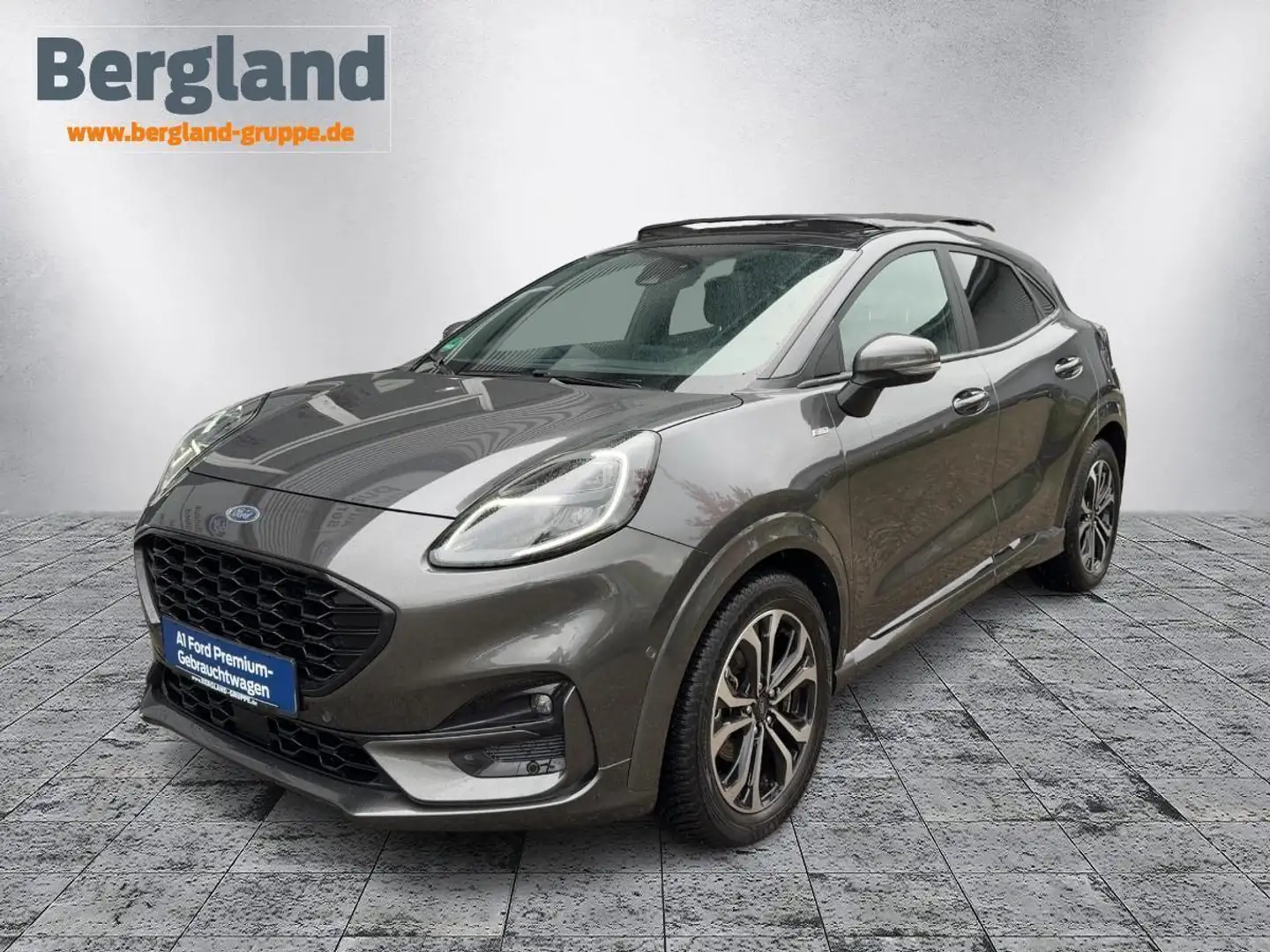 Ford Puma ST-Line X 1,0 l EcoBoost 155 PS Gris - 1