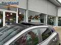 Ford Puma ST-Line X 1,0 l EcoBoost 155 PS Gris - thumbnail 7