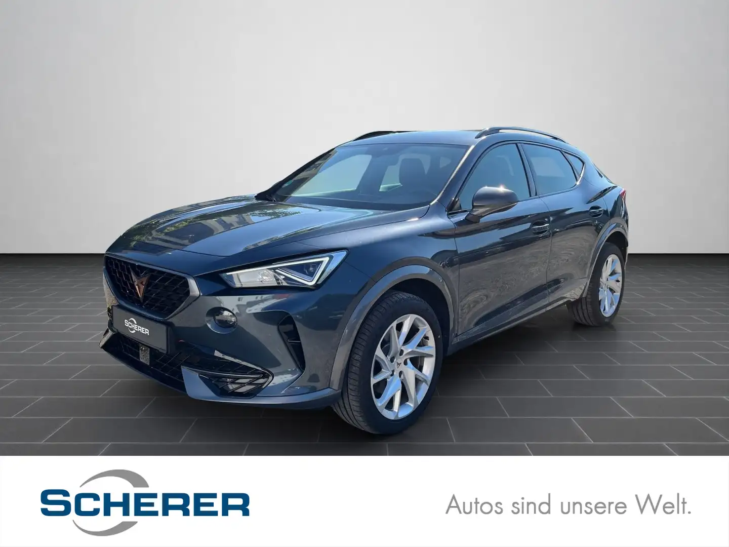 CUPRA Formentor 2.0 TDI 4DRIVE Navi/Kamera/AHK/ Grau - 1