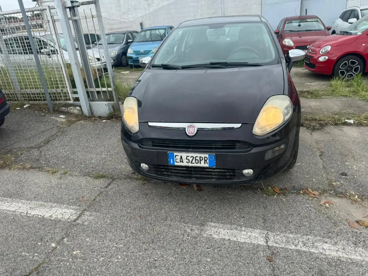 Fiat Punto Evo Punto Evo 3p 1.4 Dynamic Gpl 77cv Negro - 2