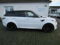 Land Rover Range Rover Sport Autobiography Dyn*360°*Pano* Weiß - thumbnail 8