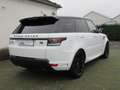 Land Rover Range Rover Sport Autobiography Dyn*360°*Pano* Weiß - thumbnail 7