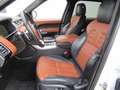 Land Rover Range Rover Sport Autobiography Dyn*360°*Pano* Weiß - thumbnail 11
