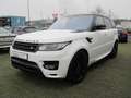 Land Rover Range Rover Sport Autobiography Dyn*360°*Pano* Weiß - thumbnail 2