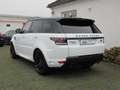 Land Rover Range Rover Sport Autobiography Dyn*360°*Pano* Weiß - thumbnail 4