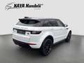 Land Rover Range Rover Evoque Range Evoque HSE Leder/Navi/Kamera/Pano/Dynamic Weiß - thumbnail 7