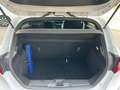 Ford Fiesta Fiesta 5p 1.1 ST-Line 85cv my19.5 Bianco - thumbnail 14