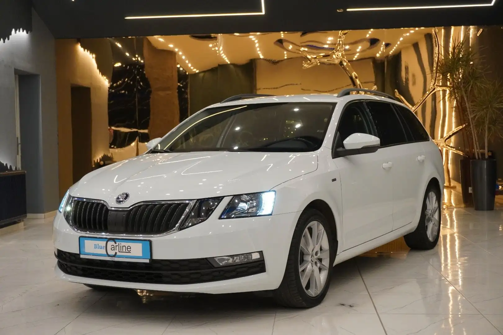 Skoda Octavia Combi Clever TDI*DSG*AHK*NAVI*SHZ*Klimaaut* Weiß - 1