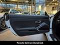 Porsche Cayman 718 20-Zoll Sitzheizung ApplecarPlay Leder ParkAss Weiß - thumbnail 13