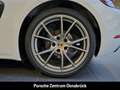 Porsche Cayman 718 20-Zoll Sitzheizung ApplecarPlay Leder ParkAss Weiß - thumbnail 11
