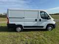 Fiat Ducato Ducato L1H1 - thumbnail 6