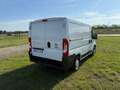 Fiat Ducato Ducato L1H1 - thumbnail 5
