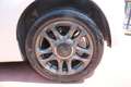 Fiat 500 1.0 CONNECT 70cv PREZZO VERO UNIPRO ITALIANA PELLE - thumbnail 6