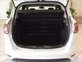 Ford B-Max 1.6 tdci 95cv Bianco - thumbnail 9