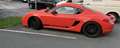 Porsche Cayman II 2,9 DSG - thumbnail 6