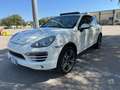 Porsche Cayenne 3.0 V6 tdi 245cv tiptronic - thumbnail 1