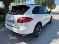 Porsche Cayenne 3.0 V6 tdi 245cv tiptronic - thumbnail 2
