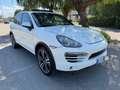 Porsche Cayenne 3.0 V6 tdi 245cv tiptronic - thumbnail 9