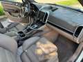 Porsche Cayenne 3.0 V6 tdi 245cv tiptronic - thumbnail 8