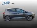 Ford Fiesta Fiesta 1.0EB ST-Line Vignale LED-Matrix Panorama Gris - thumbnail 4