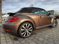 Volkswagen Beetle R-Line 210 PS Cabriolet+2.0+TSI+DSG+Sport Braun - thumbnail 8