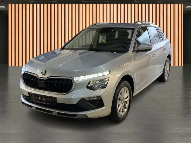 Skoda Kamiq view 2