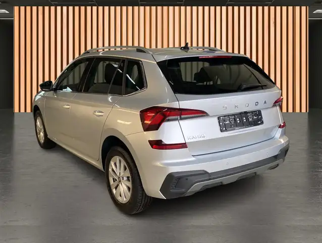 Skoda Kamiq view 6