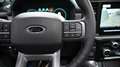 Ford F 150 Lariat Black Edition 5,0l V8,Navi,Pano,LPG Gri - thumbnail 12