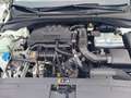 Hyundai i30 1.0 T-GDI EDITION 30+Panodach/Navi/LED Licht Weiß - thumbnail 36