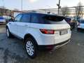 Land Rover Range Rover Evoque 5p 2.0 td4 Pure Business edition 150cv auto Bianco - thumbnail 4