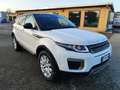 Land Rover Range Rover Evoque 5p 2.0 td4 Pure Business edition 150cv auto Bianco - thumbnail 8