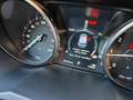 Land Rover Range Rover Evoque 5p 2.0 td4 Pure Business edition 150cv auto Bianco - thumbnail 15