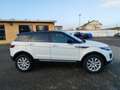 Land Rover Range Rover Evoque 5p 2.0 td4 Pure Business edition 150cv auto Bianco - thumbnail 7