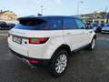 Land Rover Range Rover Evoque 5p 2.0 td4 Pure Business edition 150cv auto Bianco - thumbnail 6