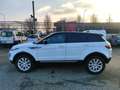 Land Rover Range Rover Evoque 5p 2.0 td4 Pure Business edition 150cv auto Bianco - thumbnail 3