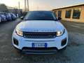Land Rover Range Rover Evoque 5p 2.0 td4 Pure Business edition 150cv auto Bianco - thumbnail 1