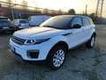 Land Rover Range Rover Evoque 5p 2.0 td4 Pure Business edition 150cv auto Bianco - thumbnail 2