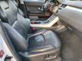 Land Rover Range Rover Evoque 5p 2.0 td4 Pure Business edition 150cv auto Bianco - thumbnail 13