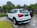 BMW X3 xDrive20d 1 Hand  Panoramadach Grün - thumbnail 7