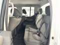 Nissan Navara Navara 2.5 dci d.cab Sport VERNICE RAPTOR Bianco - thumbnail 13