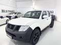 Nissan Navara Navara 2.5 dci d.cab Sport VERNICE RAPTOR Bianco - thumbnail 3