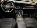 Alfa Romeo Stelvio 2.2 T. Business Q4 190cv 4x4 CAMBIO AT-TAGLIANDATA Weiß - thumbnail 11