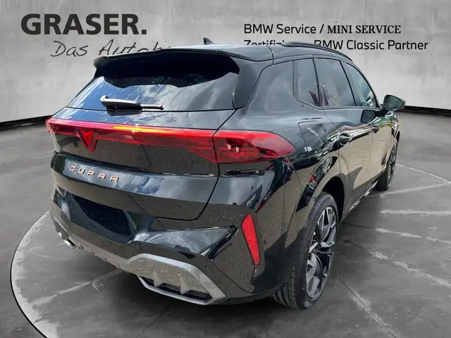 Cupra Terramar view 6