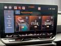 CUPRA Formentor 2.0 TDI 150 PS DSG Grau - thumbnail 19