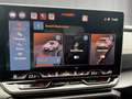 CUPRA Formentor 2.0 TDI 150 PS DSG Grau - thumbnail 16