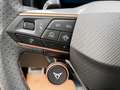 CUPRA Formentor 2.0 TDI 150 PS DSG Grau - thumbnail 13