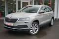 Skoda Karoq 1.0 Ambition DSG Kamera Tempomat Bluetooth Grau - thumbnail 1